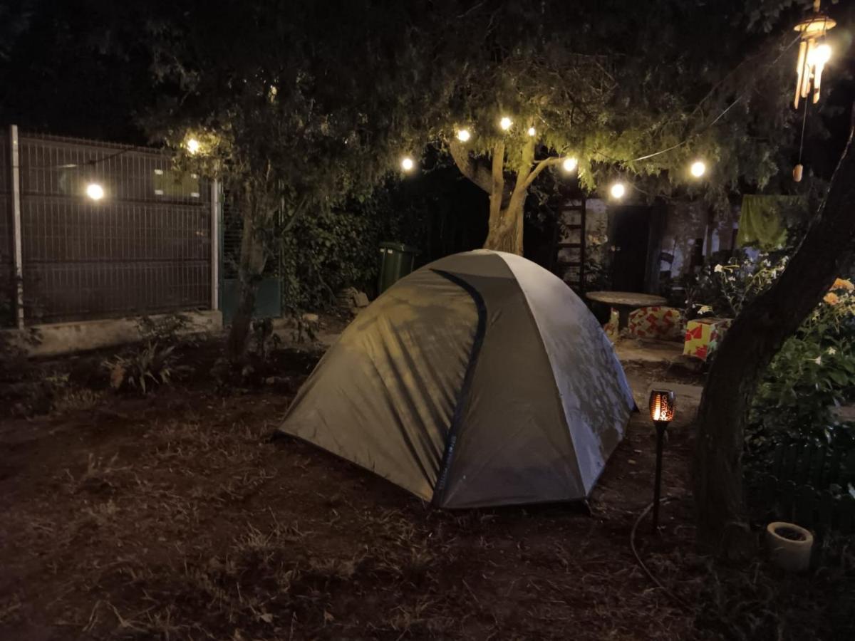 Curtea Pescarusului Campingplatz