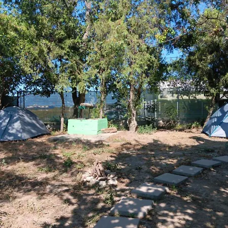 Camping Curtea Pescarusului Vama Veche Exterior photo