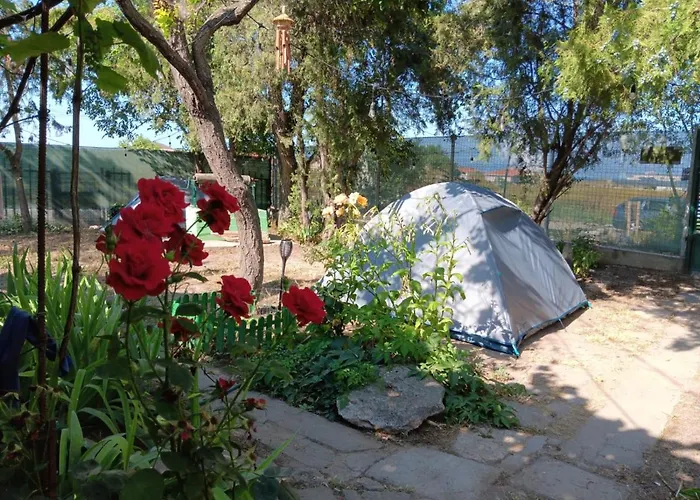 Camping Curtea Pescarusului
