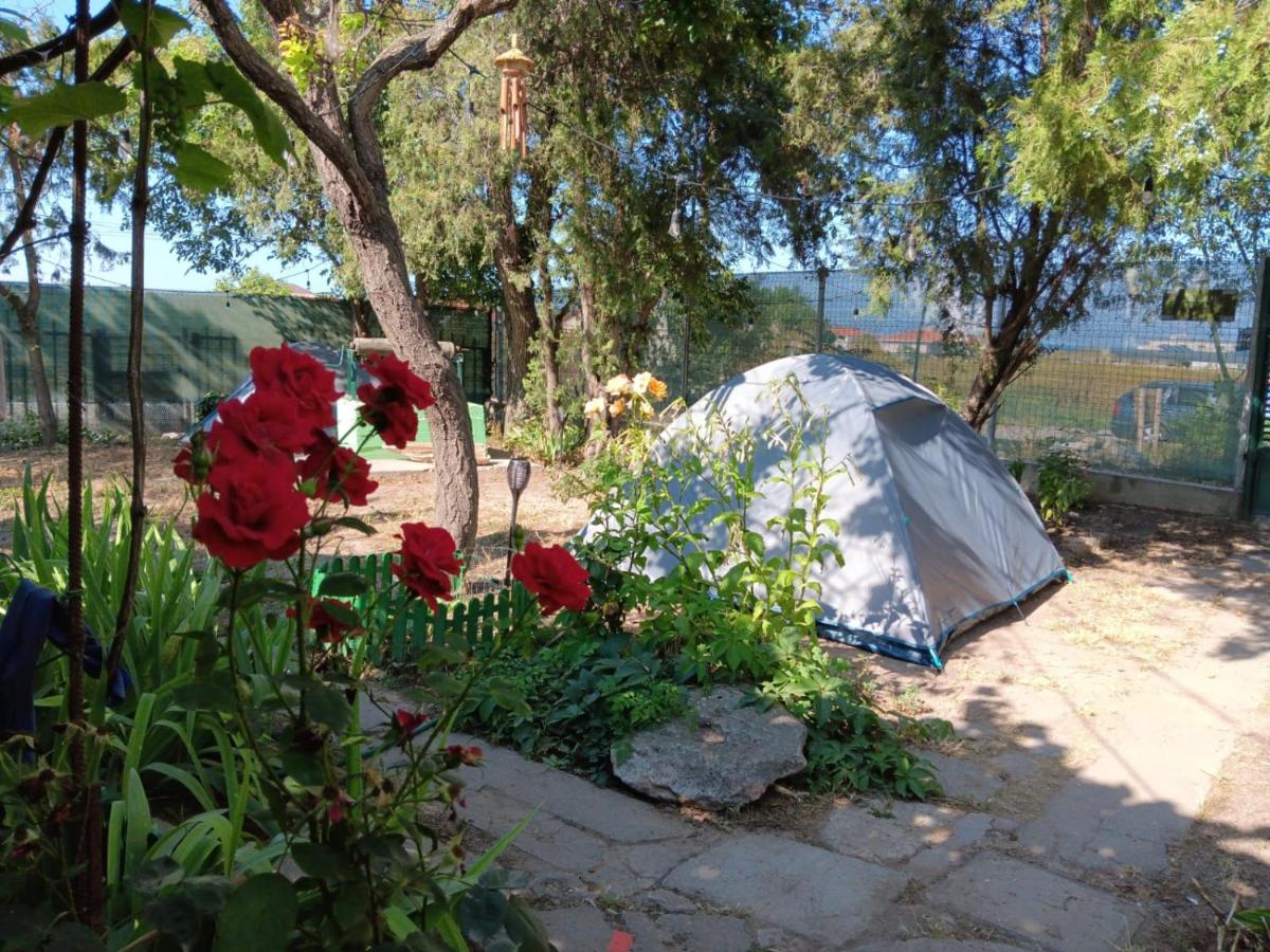 Campsite Curtea Pescarusului Vama Veche