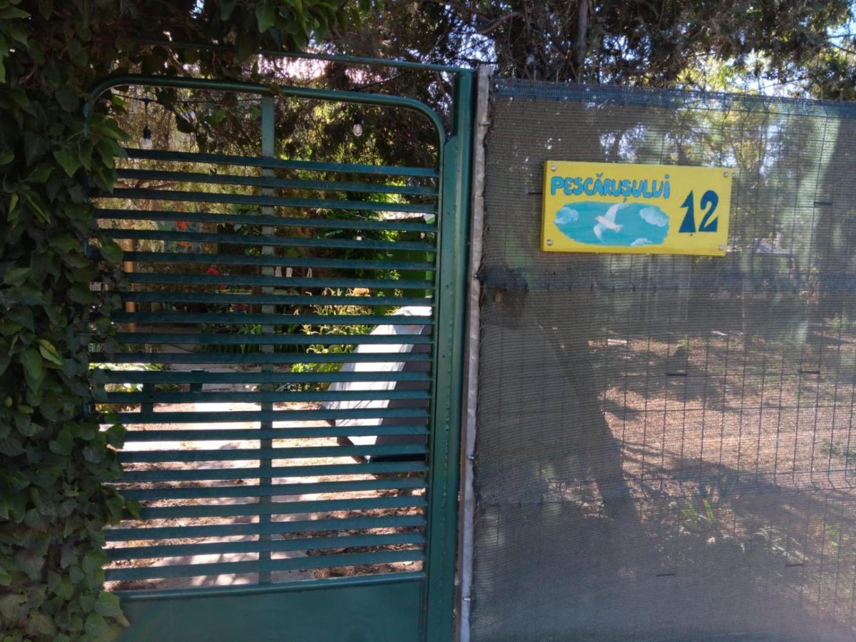 Campsite Curtea Pescarusului Vama Veche